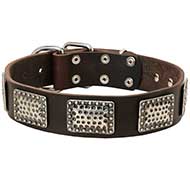 Collar Cuero con Placas Canino