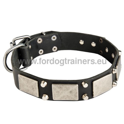 Well-adjusted Leather Collar for Husky