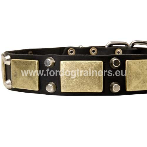 Hand decorated leather collar super durable for Pitbull 