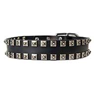 Collier chic pour chien Collier chic pour chien