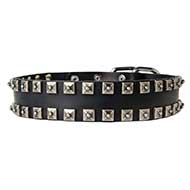 West Siberian Laika Genuine Leather Collar "Caterpillar"