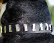 Luxus Lederhalsband mit Metallplatten fr Deutschen Schferhund