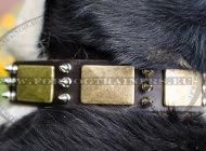 Leather Plated Dog Collar