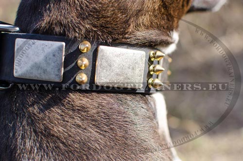 Hunde Halsband von Hand gefertigt mit Dekor fr Pitbull