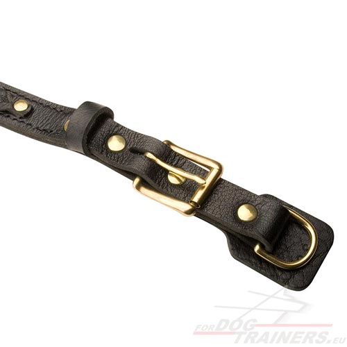 Collier riveté et cousu pour chien Extra Solide