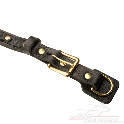 Collier rivet et cousu pour chien Extra Solide