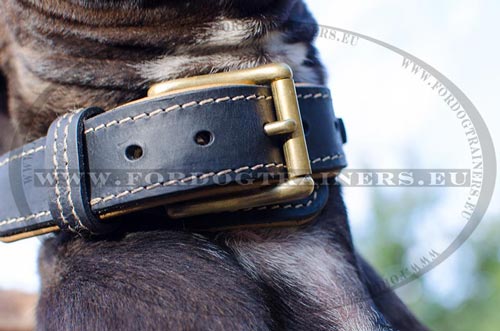 Buckle Leather Collar with Oval Decoration for Pitbull