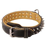 Leather Dog Collar with Spikes Spiked Dog Collar