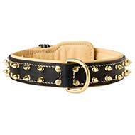 Designer Dog Collar Fine, Spiked Dog Collar Exclusive [C447#1057 Collare in pelle con decorazioni per cani attivi]