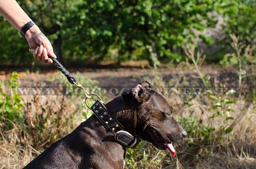 Bequemes Lederhalsband fr Pitbull