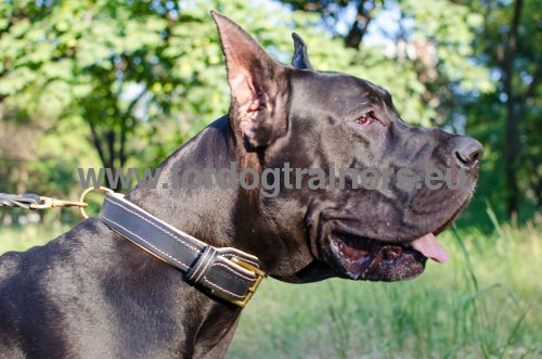 Perfecte Lederen Halsband voor Duitse Dog