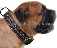 Collare in pelle naturale con intrecciamento per Bullmastiff