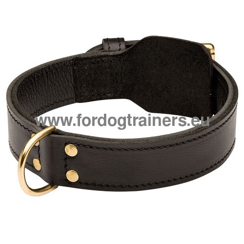 Collier ultra résistant idéal pour Berger allemand