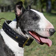 Collar de perro trenzado con piezas de latn cuero