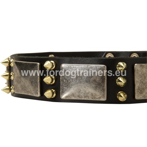 Unique style leather collar with plates and spikes for
Pitbull