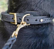 Dog Collar Leather Braided