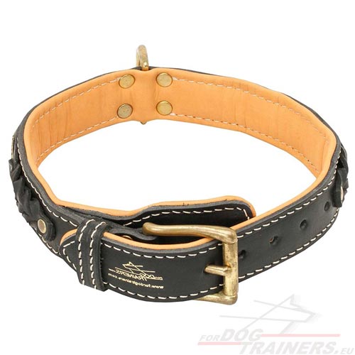 Collier ultra classe en cuir pour chien