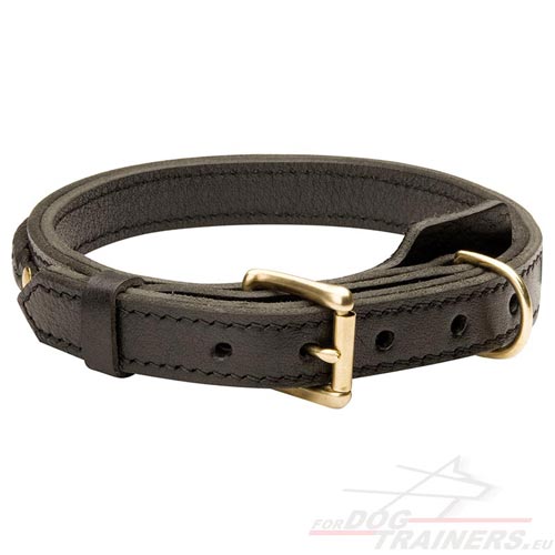 Collier cuir avec boucle laiton pour chien