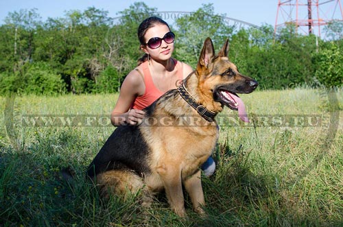 German Shepherd Leather Collar