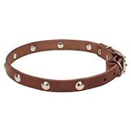 Collier aux rivets brillants pour chien Collier aux rivets brillants pour chien