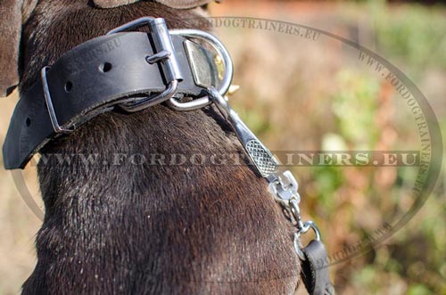 Pitbull functional and stylish dog collar with nickel
plates and brass spikes