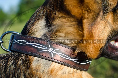 Two-ply leather dog collar - soft and durable