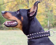 Leather collar two rows of spikes for Doberman