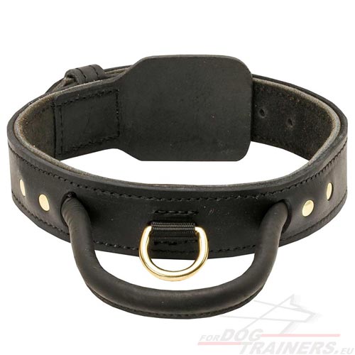 High-quality leather collar with handle for Mastiff