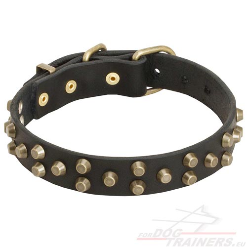 Collier de promenade dcor de pyramides pour chien