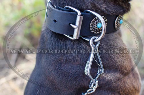 Collier en cuir pour Pitbull pratique d'utilisation