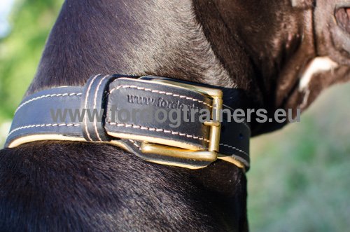 Ontwerp Honden Halsband Dubbel Gekleurd