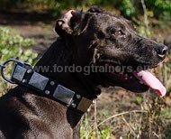 Designer Halsband voor Hond, Brede Halsband in Antieke Stijl