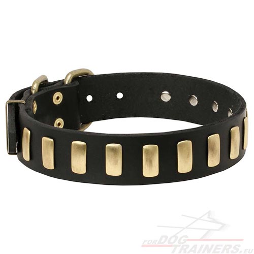 Collier cuir avec dcor en laiton pour Amstaff