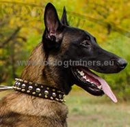 Dog Collar for Malinois with Metal Spikes and Half-balls