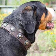 Dog Leather Collar with Embossed Plates