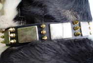 Klassieker Zacht lederen halsband voor honden