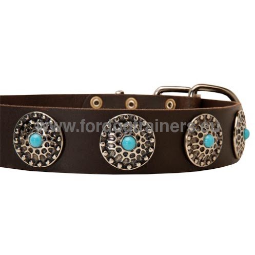 Halsband fr Pitbull - Leder und blaue Steinen