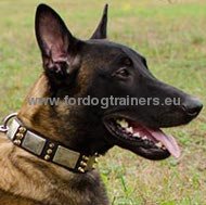 Leather Collar Design with Silver Plates and Bronze Spikes