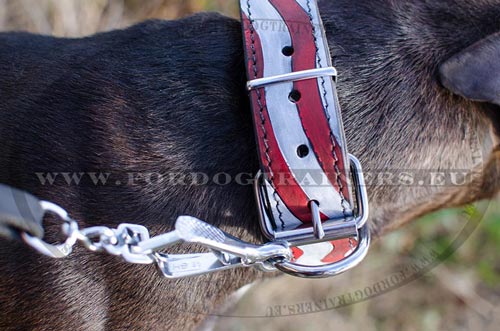 Resistant Painted Dog Collar for
Pitbull