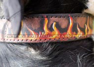 Flames Hand painted leather dog collar for Rottweiler