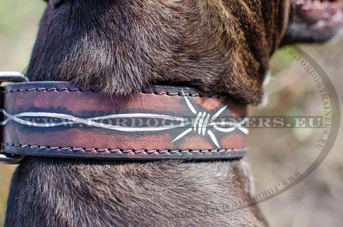Leather Collar with
Water-resistant Painting