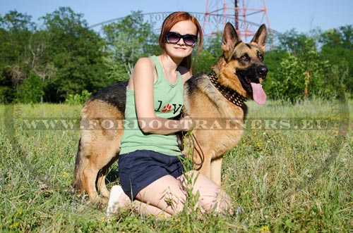 Premium class spiked leather collar for German Shepherd