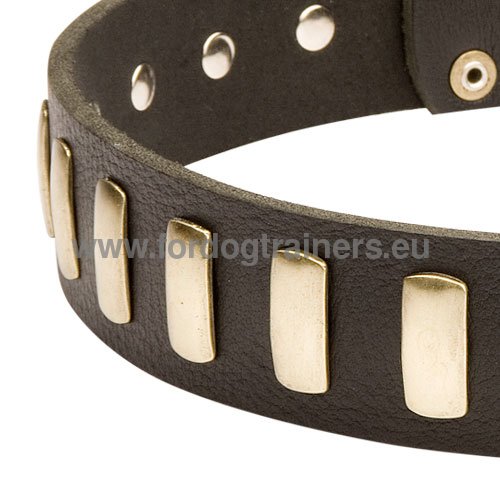 Elegant decorated collar with rectangle plates for
Bullmastiff