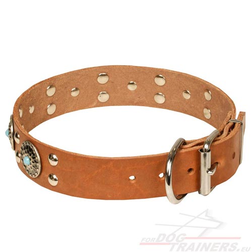 Collier ultra classe pour chien