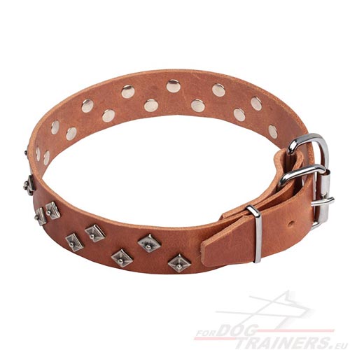 Collier en cuir et acier nickel pour chien