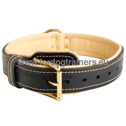 Bequemes Halsband aus Leder fr Pitbull