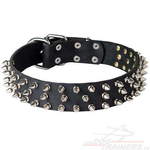 Collier pour chien TOP Qualité