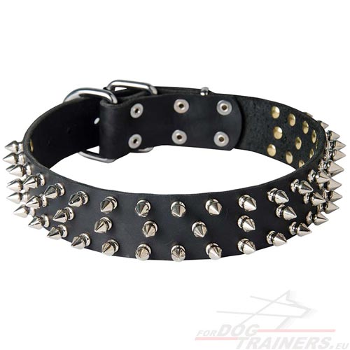 Collier pour chien TOP Qualit