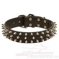 Collier décoré de clous pour chien | Collier Ultra Fashion◎ Collier décoré de clous pour chien | Collier Ultra Fashion◎