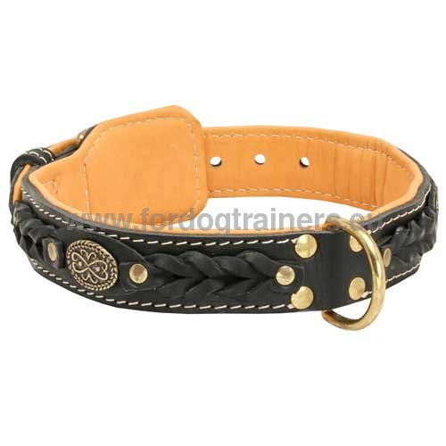 Collar for walking and training Boxer with
braids and metal
detail